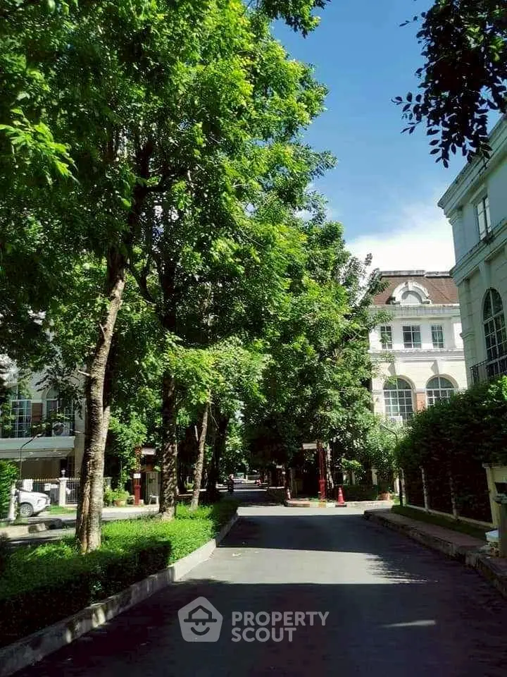 Charming tree-lined street with elegant buildings and lush greenery
