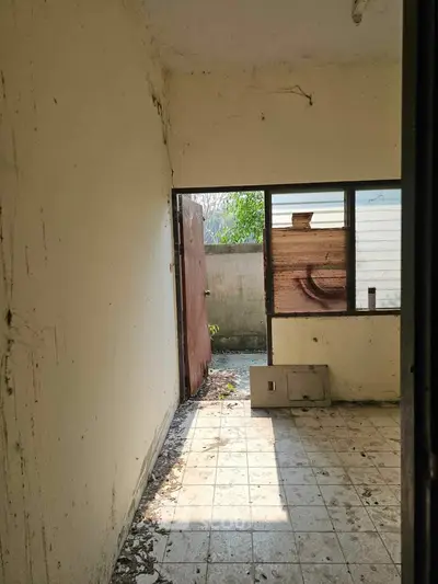 Abandoned room with open door leading to overgrown backyard, potential renovation project.