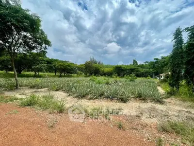 Expansive land plot with lush greenery and clear skies, ideal for development or agriculture.