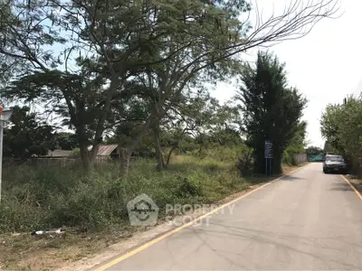 Scenic roadside view with lush greenery and rustic charm, ideal for real estate development.