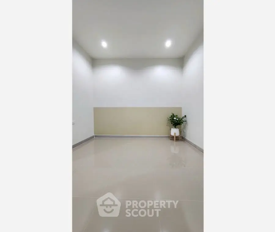 Minimalist empty room with glossy tiled floor and potted plant in corner.