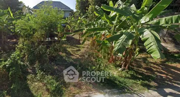 image_rental-22583332