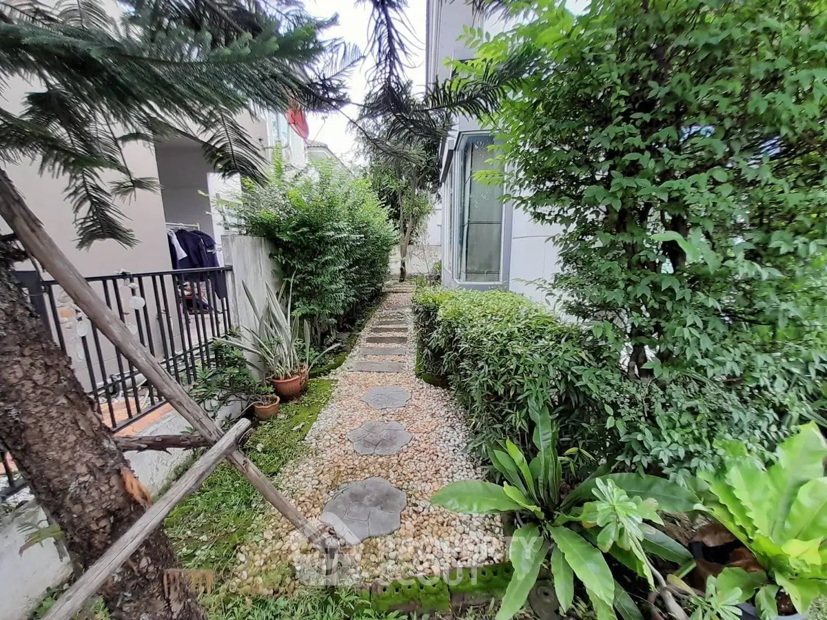 Charming garden pathway with lush greenery and stepping stones