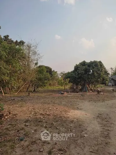 Expansive land plot with lush greenery, perfect for development or agriculture, offering serene natural surroundings.