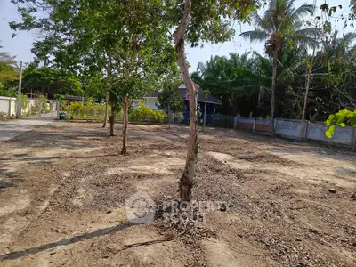 Spacious vacant land with trees, ideal for development in a serene neighborhood.