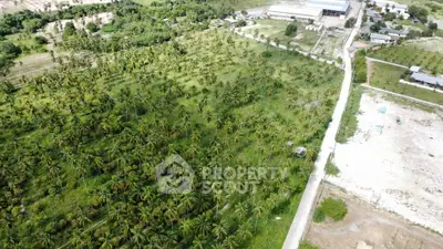 Expansive aerial view of lush green land with palm trees, ideal for development opportunities.