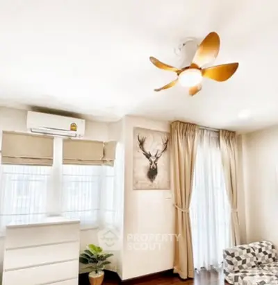 image_rental-31413593