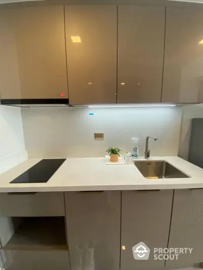 Modern kitchen with sleek cabinetry and induction cooktop