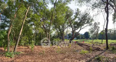 image_rental-28097990