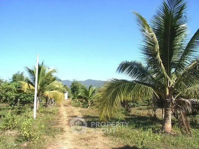 Scenic tropical land with palm trees and mountain views, ideal for development or agriculture.