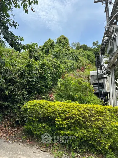 Lush greenery surrounding a hillside property with clear blue sky.