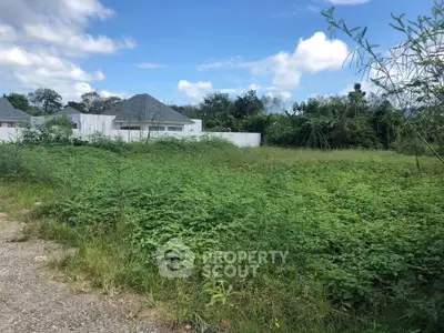 Spacious vacant land with lush greenery, ideal for building a dream home in a serene neighborhood.
