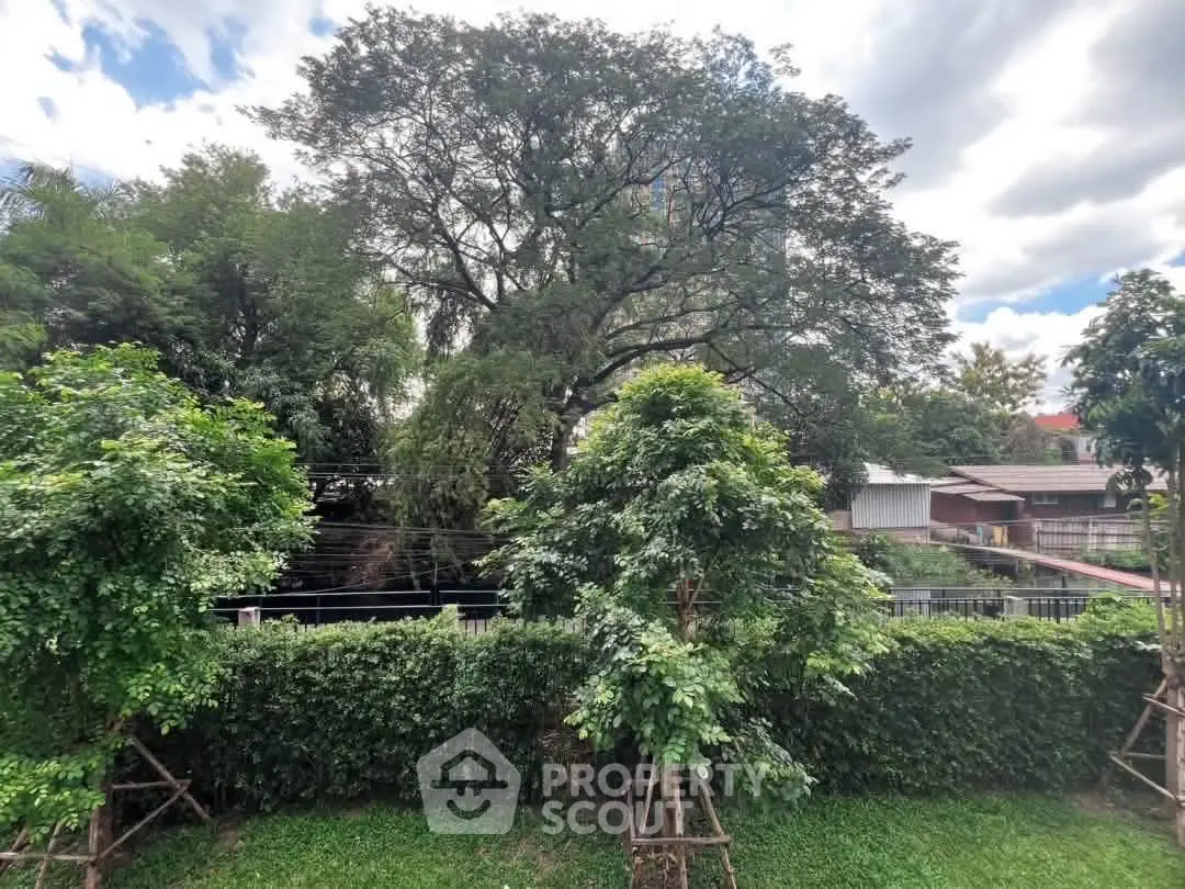 Lush garden view with mature trees and greenery, perfect for nature lovers seeking tranquility.