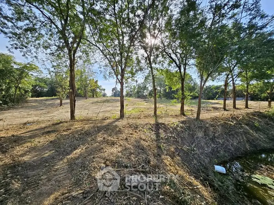 Expansive plot of land with lush trees and serene surroundings, perfect for development opportunities.