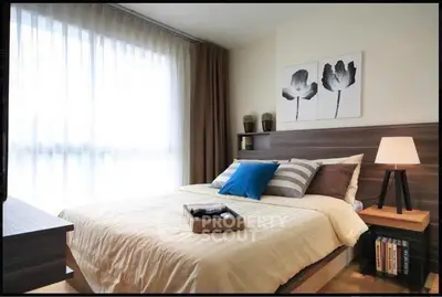 image_rental-30478934