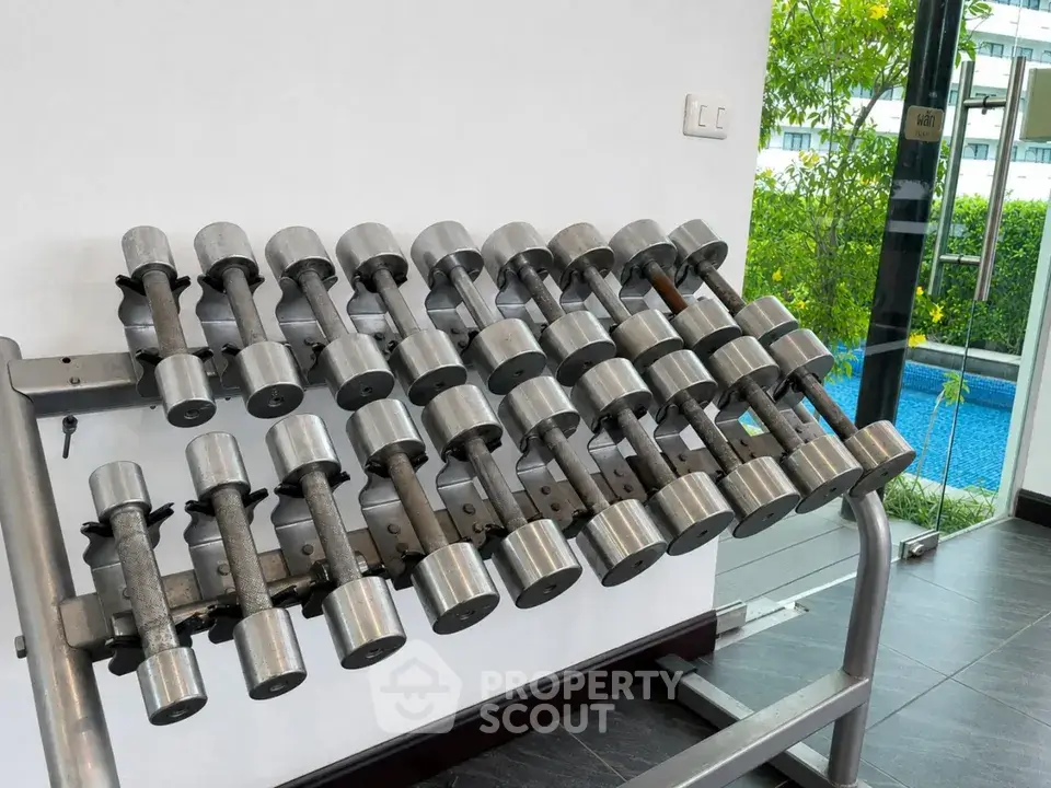 Modern gym with a sleek dumbbell rack and pool view, perfect for fitness enthusiasts.
