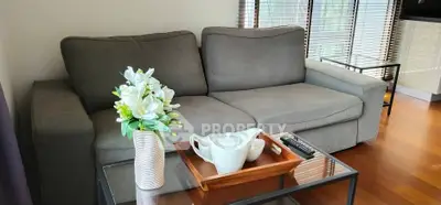 Cozy living room with elegant gray sofa and stylish decor