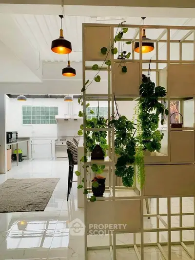 Modern open-plan kitchen with stylish lighting and decorative plants, featuring sleek white cabinetry and a spacious layout.