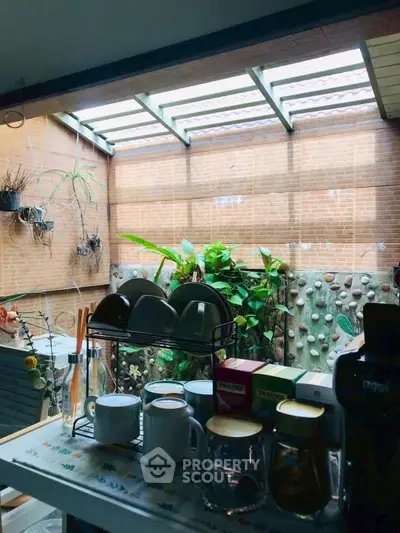 Charming kitchen with garden view and cozy tea setup, perfect for relaxation and culinary inspiration.