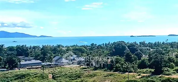 image_rental-27011892