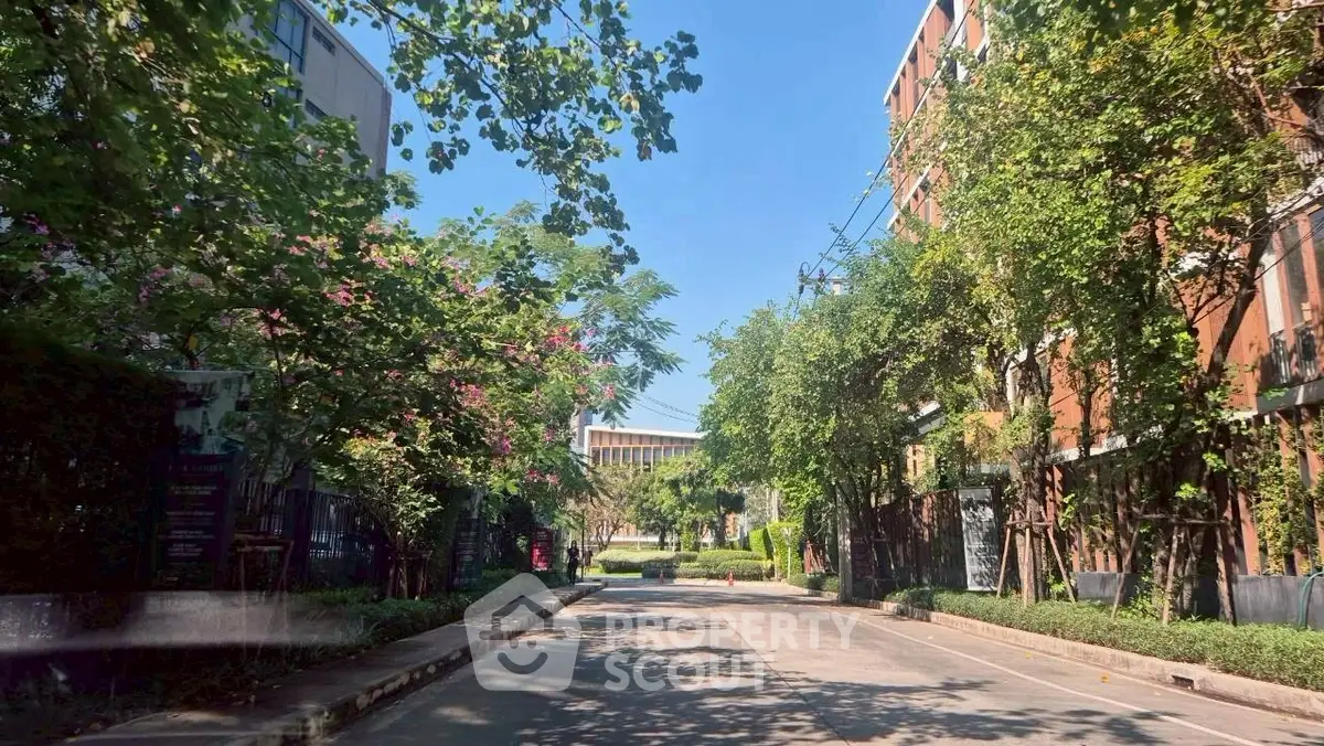Charming tree-lined street view in a serene residential neighborhood