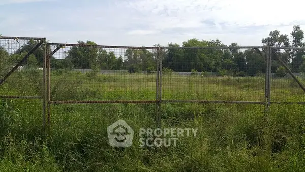 image_rental-31451237