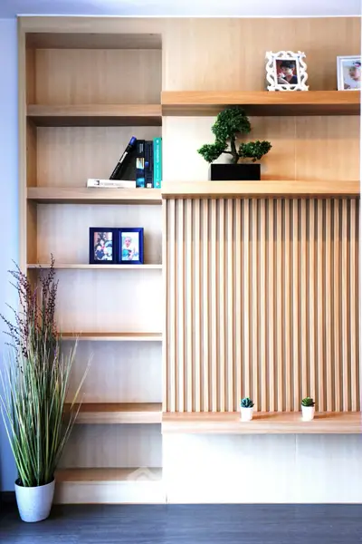 Modern living room with stylish wooden shelving and decorative plants