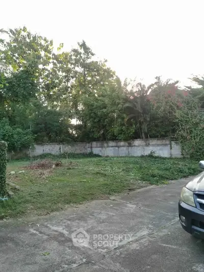 Spacious outdoor area with lush greenery and concrete driveway, ideal for landscaping opportunities.