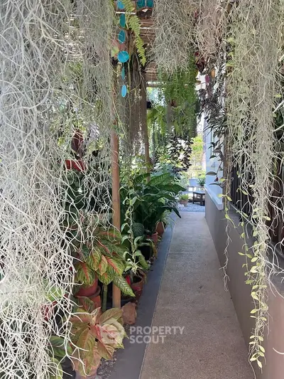 image_rental-31578062