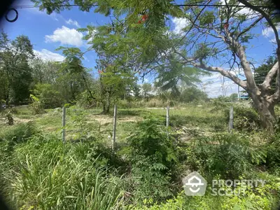 Spacious green land plot with lush trees and clear blue sky, ideal for development opportunities.