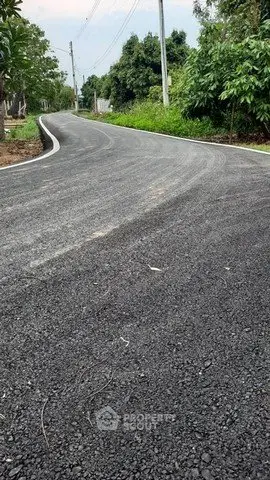 Newly paved road with lush greenery and utility poles in a serene neighborhood setting.