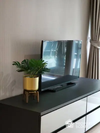 Modern living room with sleek entertainment unit featuring a large flat-screen TV and a vibrant potted plant adding a touch of greenery.