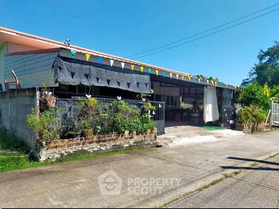 Charming single-story home with festive outdoor decor and lush greenery.