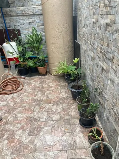 Charming garden corner with potted plants and decorative stone column