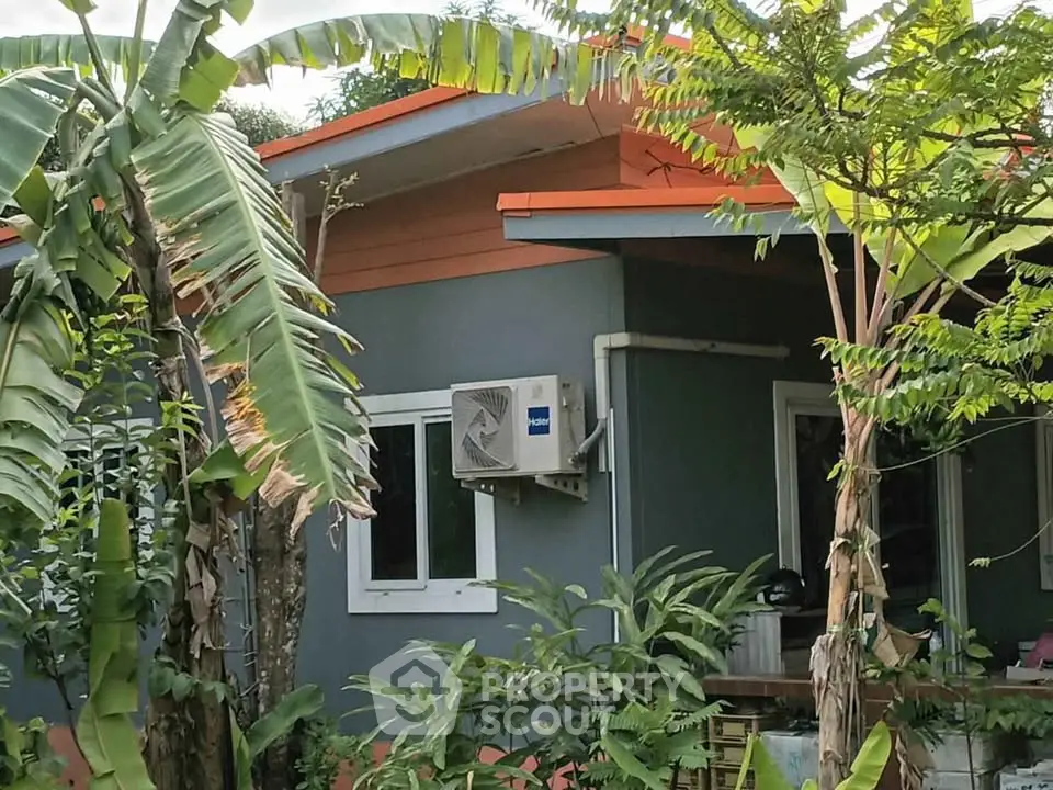 Charming small house with lush tropical garden and modern exterior design.