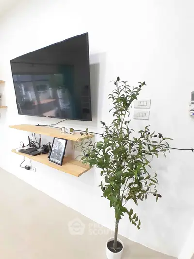 Modern living room with wall-mounted TV and stylish shelving