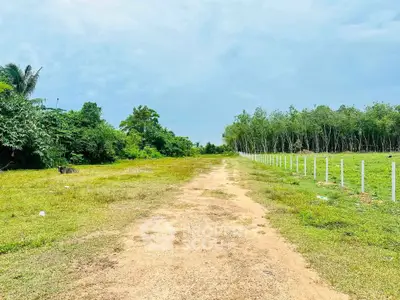 Expansive plot of land with lush greenery and clear skies, ideal for development or investment opportunities.