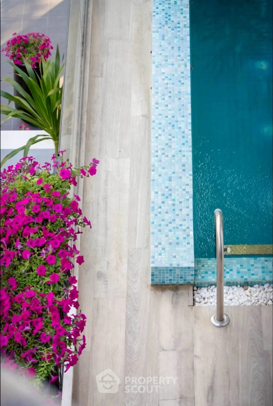 Luxurious poolside with vibrant flowers and modern design