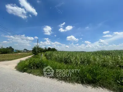 Expansive land with lush greenery under a clear blue sky, perfect for development.