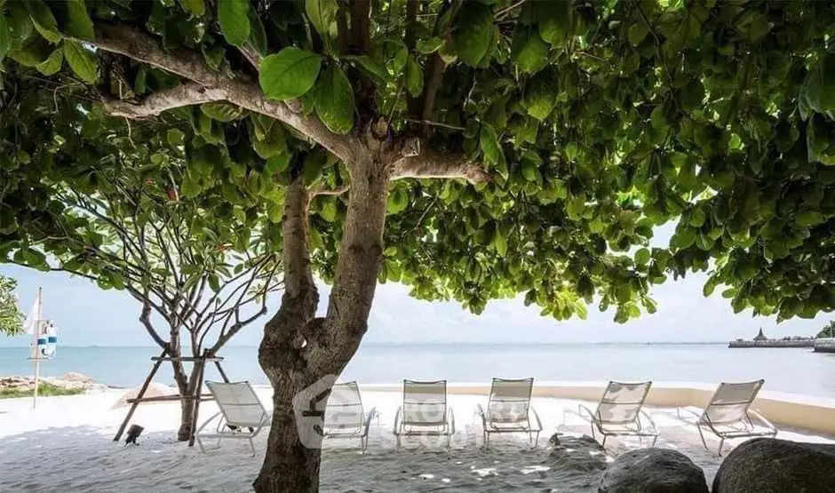 Serene beachfront view with lounge chairs under lush trees, perfect for relaxation.