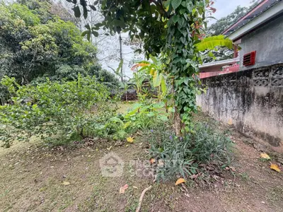 Charming garden space with lush greenery and mature trees, perfect for outdoor relaxation.