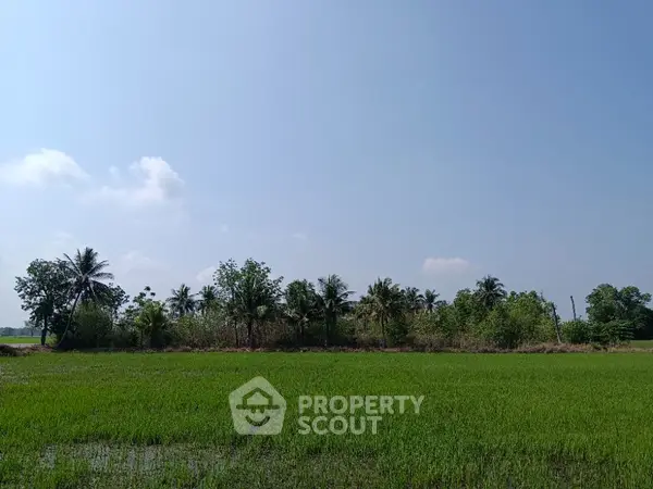 image_rental-16819315