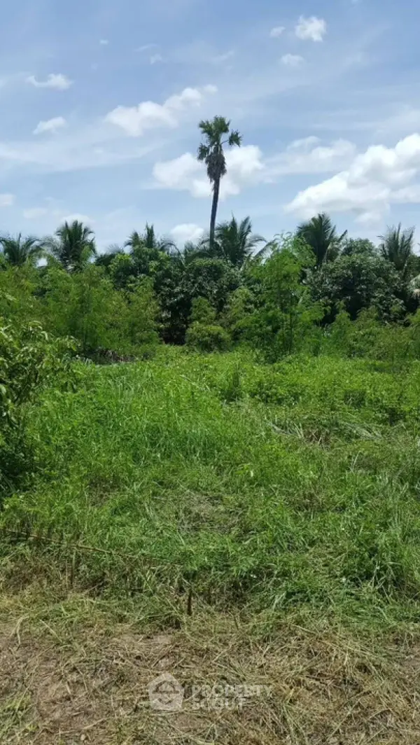 image_rental-22053077