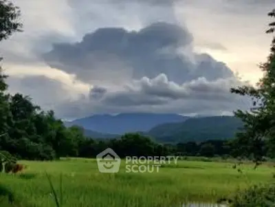 image_rental-29687610