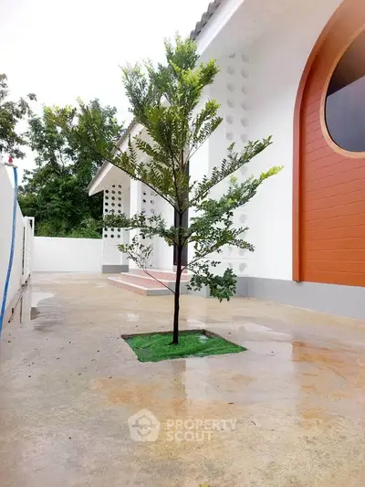 image_rental-30239936