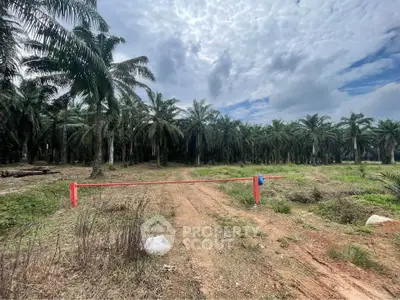 image_rental-28222708