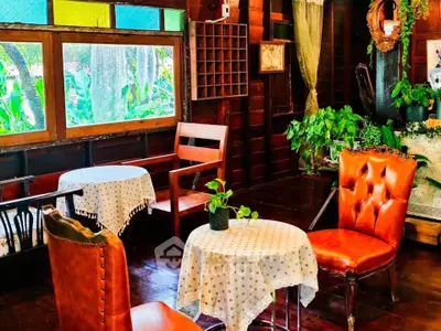 Charming vintage-style living room with leather chairs and lush greenery