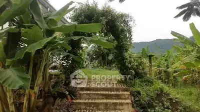 Charming garden entrance with lush greenery and scenic mountain view.
