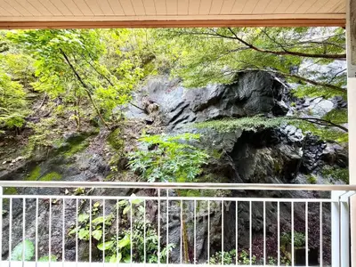 Stunning balcony view of lush greenery and rocky landscape, perfect for nature lovers.