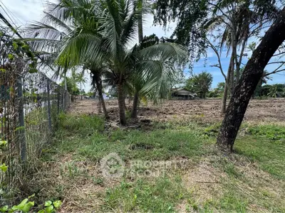 Spacious land plot with lush greenery and palm trees, ideal for development or investment opportunities.